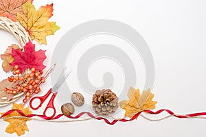 Autumn handmade: dried leaves and flowers, pine cone and plants on white background. Top view. Flat lay. copy space