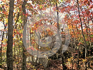 Autumn at Hanging Rock State Park