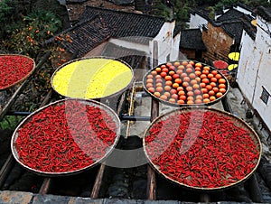 Autumn harvest