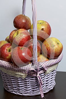 Autumn harvest of apples. Apples in a wicker from a vine basket. On a white background.