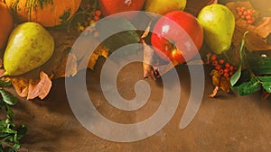 Autumn harvest banner. Seasonal autumn fruits and vegetables.