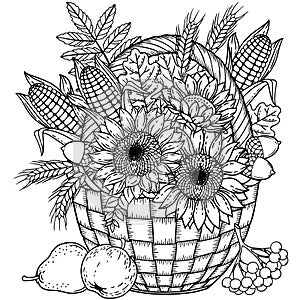 Autumn harvest in a basket for thanksgiving day. Vector coloring page for adult. Black and white basket with leaves