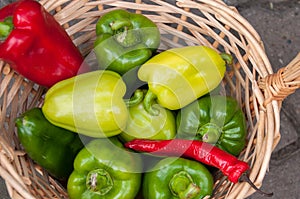 Autumn harvest: basket with yellow, red and green pepper