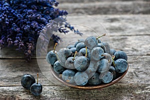 Autumn harvest blue sloe berries on a wooden table with a bouquet of lavender in the background. Copy space. Rustic style.