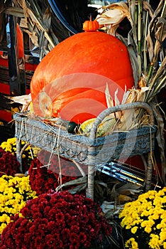 Autumn harvest bounty on display
