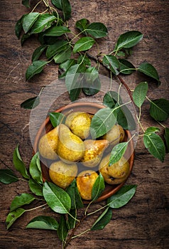 Autumn harvest of brown yellow pears with leaves on clay plate on rustic wooden table background