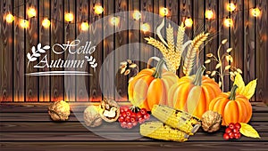 Autumn harvest card Vector realistic with Pumpkin, corn, walnuts. Detailed 3d design. Wooden background with lights