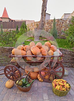 Autumn, the harvest. Cart with pumpkins, and other vegetables in baskets