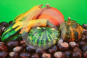 Autumn harvest. Composition of decorative pumpkins on a green background