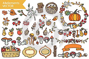 Autumn Harvest.Doodle berries,mushrooms,fruits, photo