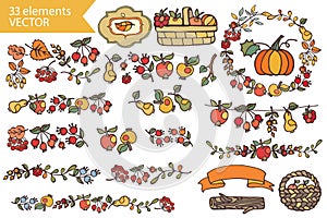 Autumn Harvest.Doodle fruits,berries,decor set