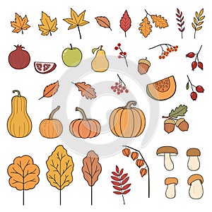 Autumn harvest elements set
