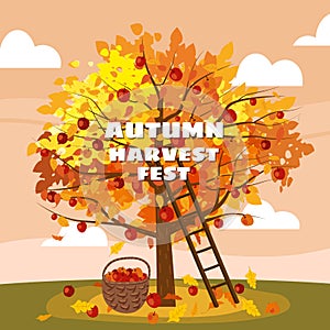 Autumn Harvest Fest. Apple tree with basket of apples, ladder, rural landscape. Fall, harvest, ripe fruits on tree