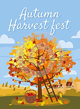 Autumn Harvest Fest. Apple tree with basket of apples, ladder, rural landscape. Fall, harvest, ripe fruits on tree