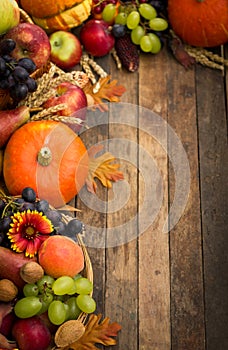 Autumn harvest - fresh fruits