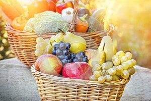 Autumn harvest - fresh organic fruit and vegetable