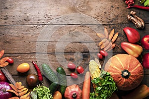 Autumn harvest fruits and vegetables. Concept frame copyspace for advertising and ads, healthy food