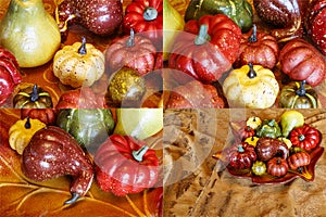 Autumn harvest gourds pumpkin decoration collage