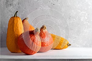 Autumn harvest, Halloween or Thanksgiving concept with orange pumpkins and courgettes. Copy space.