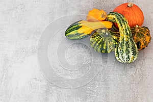Autumn Harvest. Happy thanksgiving Banner. Selection of various pumpkins on textured cement background