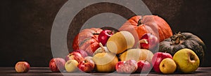 Autumn harvest, happy Thanksgiving day, Halloween. Festive still life with pumpkins and apples on dark  brown background with copy