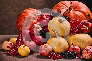 Autumn harvest, happy Thanksgiving day, Halloween. Still life with pumpkins, berries, apples on dark  brown background