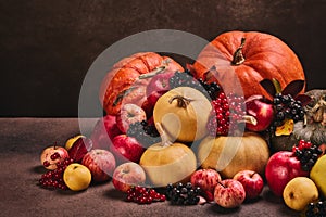 Autumn harvest, happy Thanksgiving day, Halloween. Still life with pumpkins, berries, apples on dark  brown background