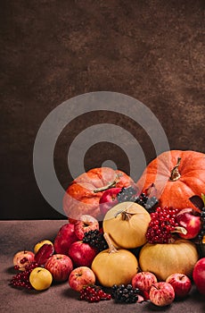 Autumn harvest, happy Thanksgiving day, Halloween. Still life with pumpkins, berries, apples on dark  brown background with copy