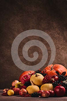 Autumn harvest, happy Thanksgiving day, Halloween. Still life with pumpkins, berries, apples on dark  brown background with copy