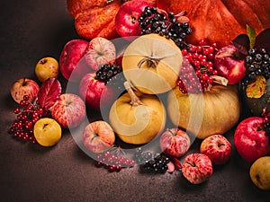 Autumn harvest, happy Thanksgiving day, Halloween. Still life with pumpkins, berries, apples on dark  brown background. Top view