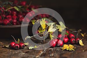 Autumn harvest Hawthorn berry with leaves in bowl on a wooden ta