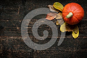 Autumn Harvest and Holiday still life. Happy Thanksgiving Background. Pumpkin and fallen leaves on dark wooden background.