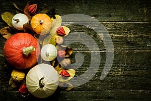 Autumn Harvest and Holiday still life. Happy Thanksgiving Background. Selection of various pumpkins on dark wooden background.