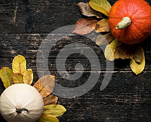 Autumn Harvest and Holiday still life. Happy Thanksgiving Background. Two pumpkins and fallen leaves on dark wooden background.