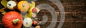 Autumn Harvest and Holiday still life. Happy Thanksgiving Banner. Selection of various pumpkins on dark wooden background.