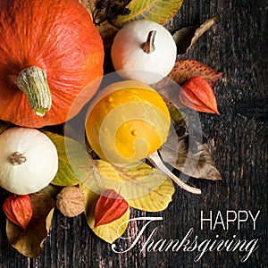 Autumn Harvest and Holiday still life. Happy Thanksgiving. Selection of various pumpkins on dark wooden background.