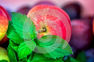 Autumn harvest. Macro shot of a freshly picked red ripe apple next to bright green peppermint leaves and dark pink plums