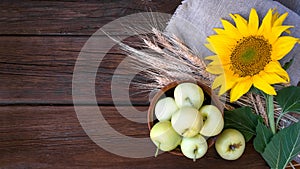 Autumn harvest, natural products, Greeting card concept. Still life with beautiful sunflower flower, green apples in clay brown