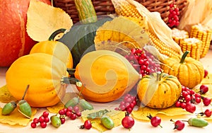Autumn harvest: pumpkins, berries, corn, leaves and acorn