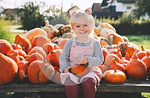 Autumn harvest of pumpkins. Child picking orange pumpkin at farm market or seasonal festival. Cute little girl playing among