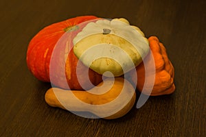 Autumn harvest - pumpkins and squash. Pumpkin and zucchini varieties.