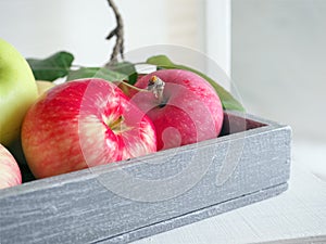 Autumn harvest: ripe, fragrant red-green apples in a wooden, gray box on a white chair. Food concept