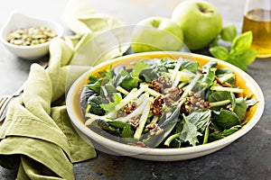 Autumn harvest salad with apple