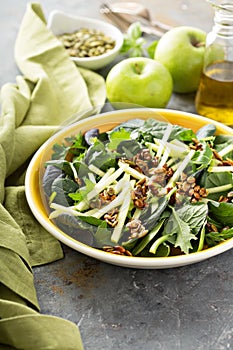 Autumn harvest salad with apple