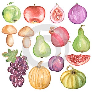 Autumn Harvest Set Clipart, Watercolor Pumpkin, red Apple, Pear, Figs slice, Grapes, Plum illustration, graphic Pomegranate clipar