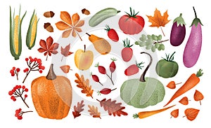Autumn harvest set. Collection of ripe delicious vegetables, fresh fruits, berries, fallen leaves, acorns isolated on