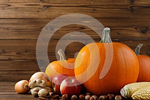 Autumn harvest still life with pumpkins