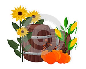 Autumn harvest sunflower, corn, pumpkin and barrel Vector