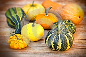 Autumn harvest on table