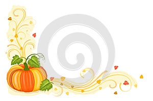 Autumn harvest with tasty pumpkin